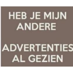 B nosy denim broek kort jongen maat 134/140 nieuw