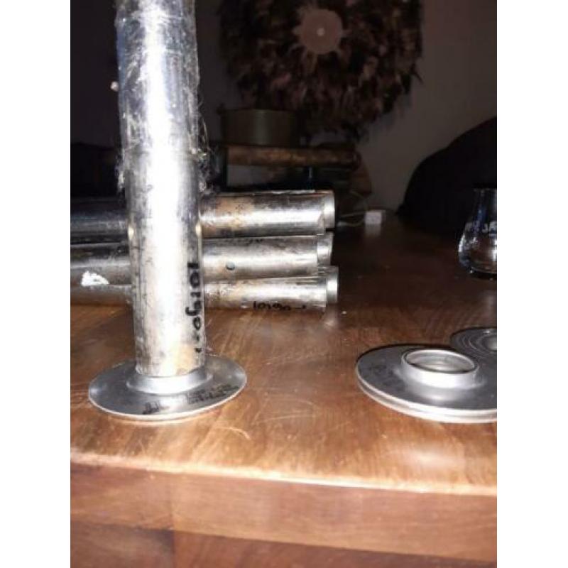 Scepters