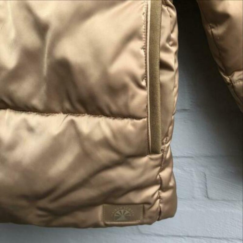 Maison Scotch Winterjas Donsjack Maat S