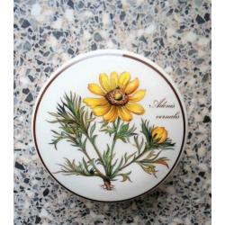 Villeroy & Boch Bonbondoos Botanica. Adonis Vernalis.
