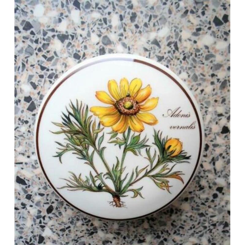 Villeroy & Boch Bonbondoos Botanica. Adonis Vernalis.