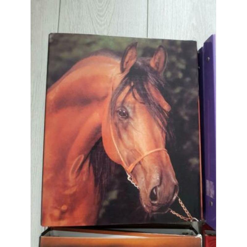 Diverse mooie 23-rings mappen
