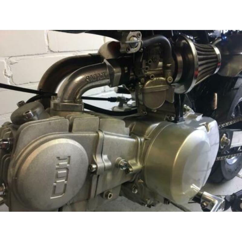 Lifan-Monkey 150CC