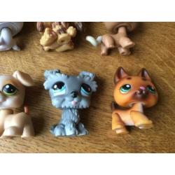 Littlest Pet Shop LPS poppetjes (o.a #347, #1170, #1077)