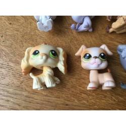 Littlest Pet Shop LPS poppetjes (o.a #347, #1170, #1077)