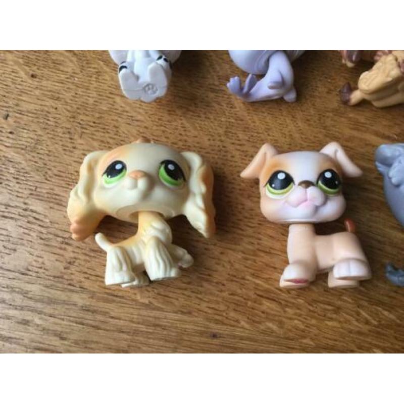Littlest Pet Shop LPS poppetjes (o.a #347, #1170, #1077)