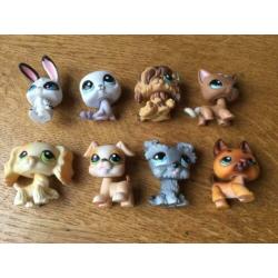 Littlest Pet Shop LPS poppetjes (o.a #347, #1170, #1077)