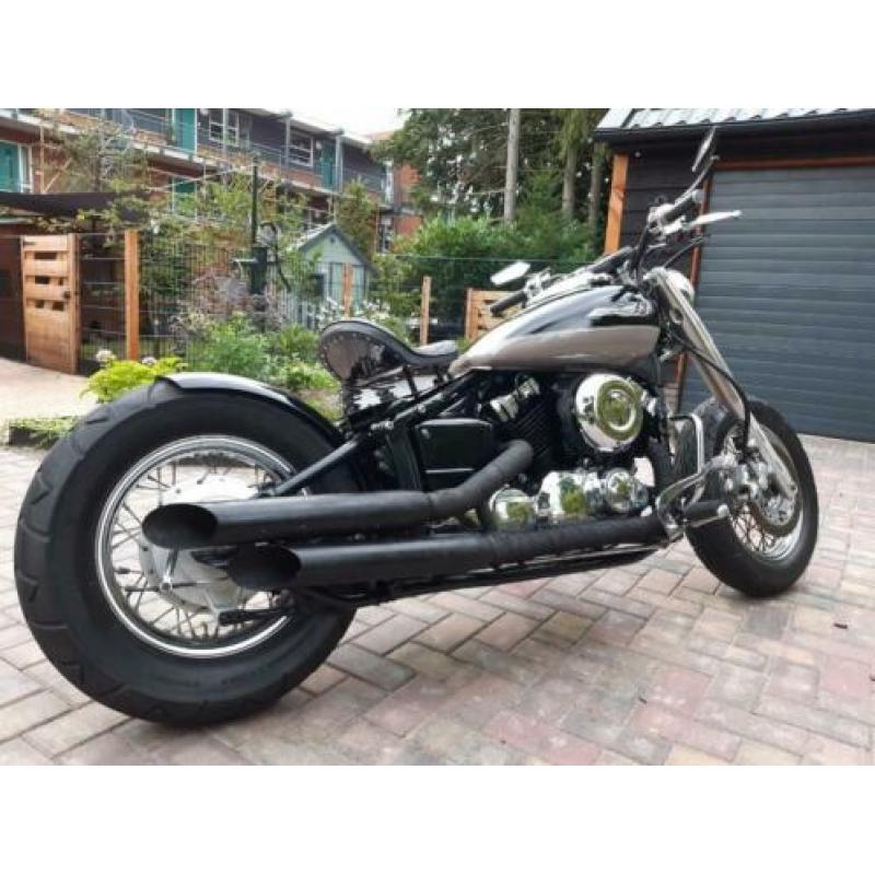 Bobber XVS650 Dragstar