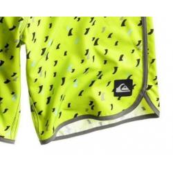 Quiksilver Heren Back The Pack Short Groen Maat 36