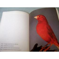 KANARIES – Thieme Door: K. Speicher 63 pagina’s Het doel van