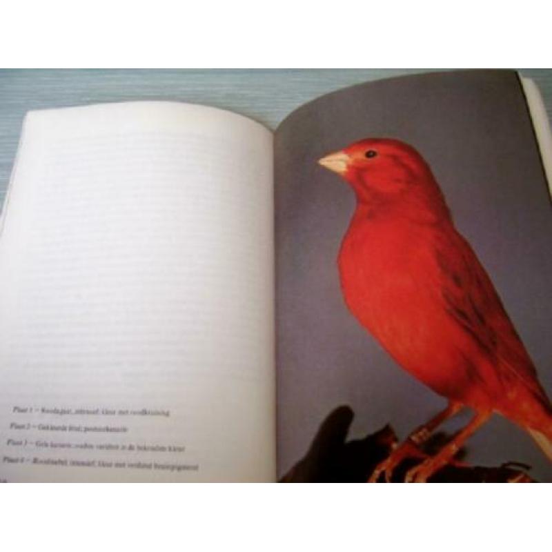 KANARIES – Thieme Door: K. Speicher 63 pagina’s Het doel van
