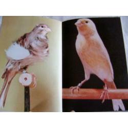 KANARIES – Thieme Door: K. Speicher 63 pagina’s Het doel van