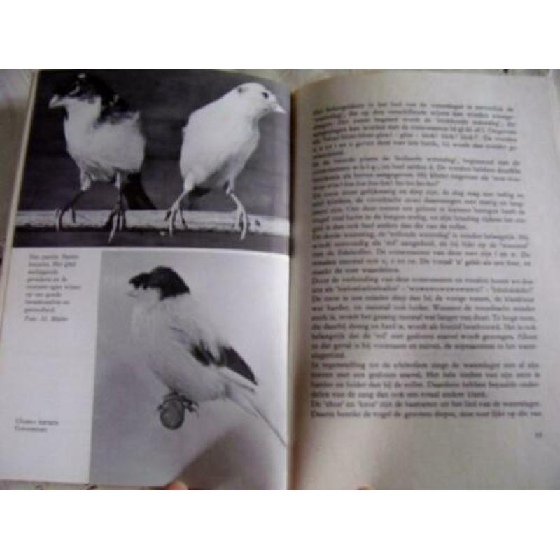 KANARIES – Thieme Door: K. Speicher 63 pagina’s Het doel van