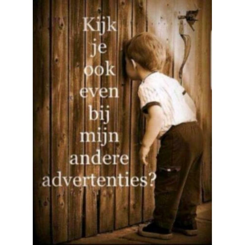 Huis Anubis aflevering 33 t/m 48 (seizoen 1 box 1) 1 dvd