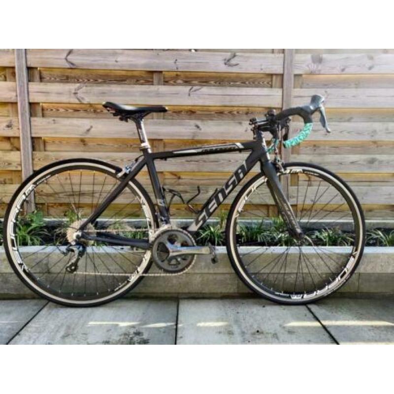 Sensa Romagna maat 48/49