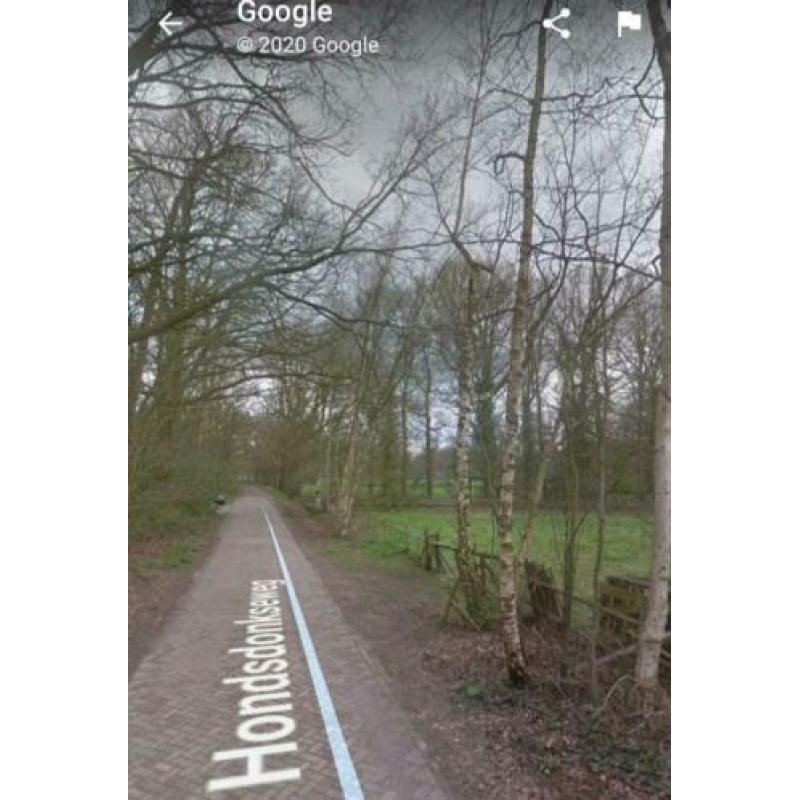 Per direct groot weiland in bos te huur