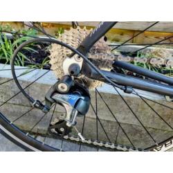 Sensa Romagna maat 48/49