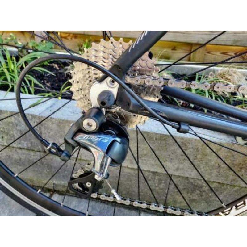 Sensa Romagna maat 48/49