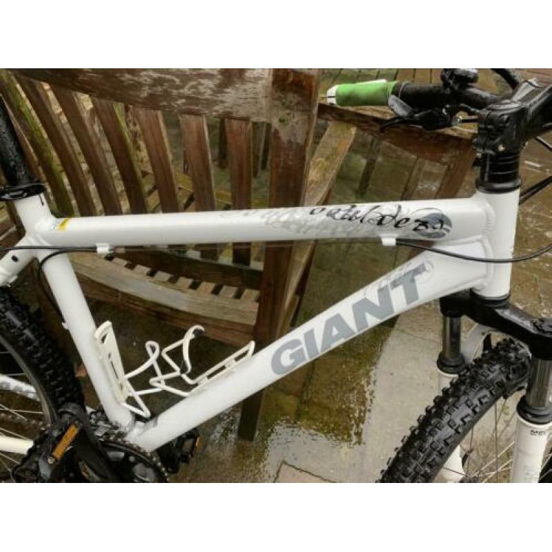 Giant mountainbike dames wit
