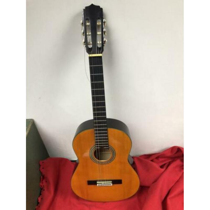 Akoestische gitaar