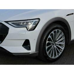 Audi e-tron 55 quattro advanced Pro Line S |S-Line | Pano |