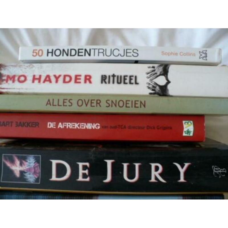 diverse boeken voornamelijk THRILLERS