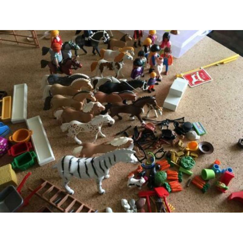 Playmobil paarden