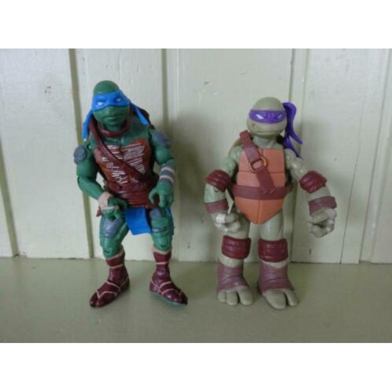 diverse turtles