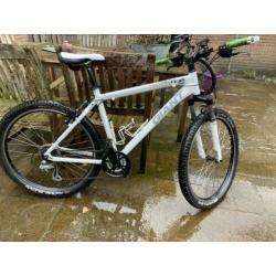 Giant mountainbike dames wit