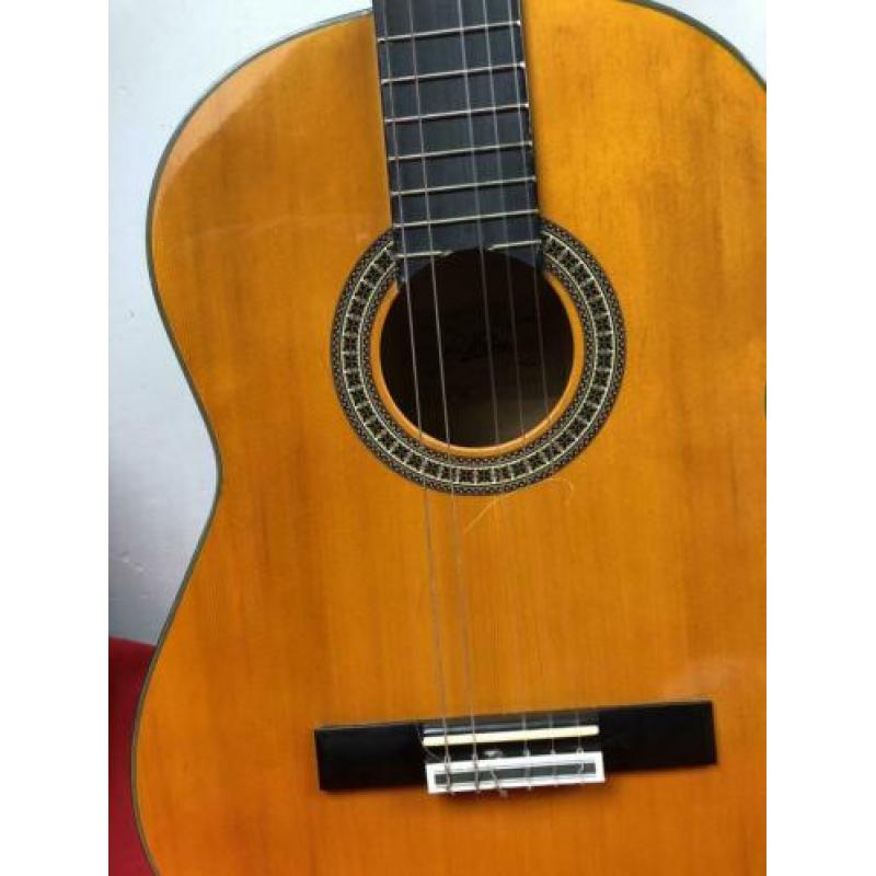 Akoestische gitaar