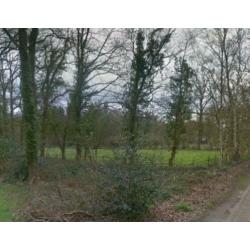 Per direct groot weiland in bos te huur