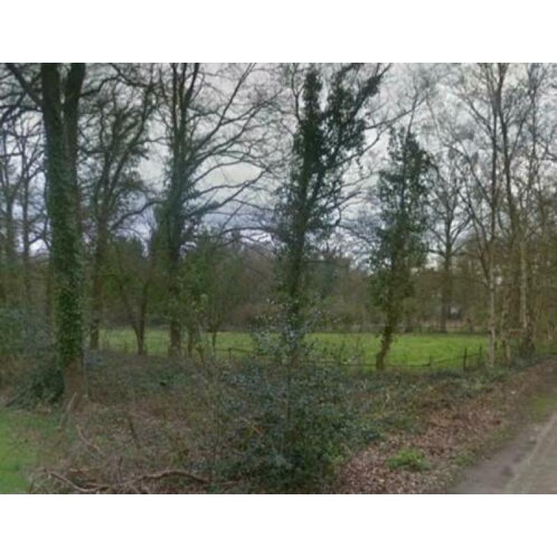 Per direct groot weiland in bos te huur