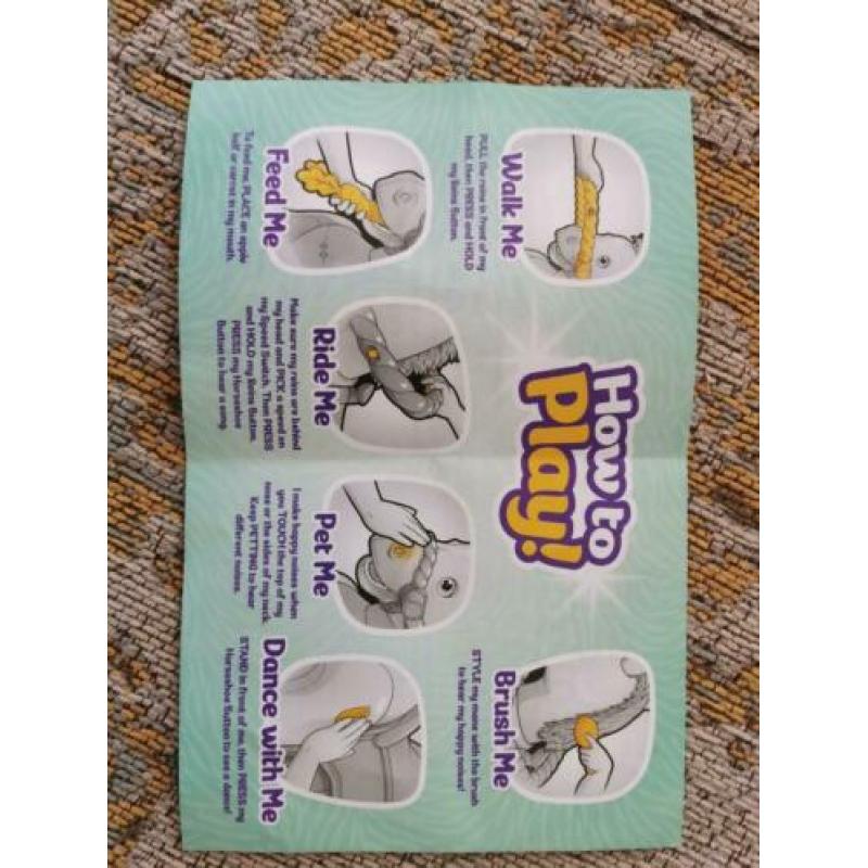 Rideamals kid Trax pony
