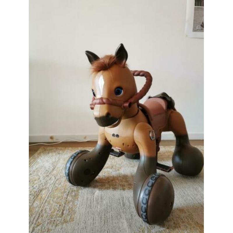 Rideamals kid Trax pony