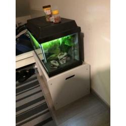 Aquarium te koop