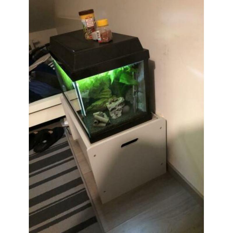 Aquarium te koop