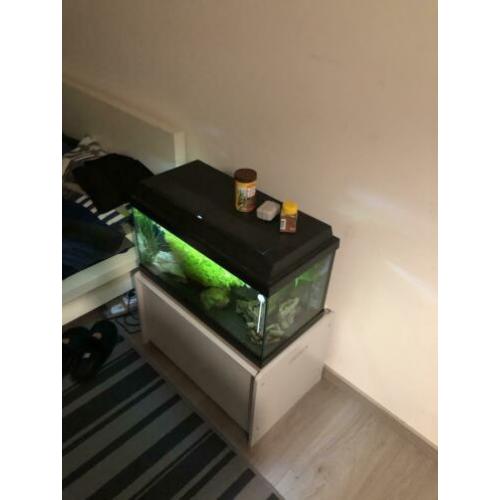 Aquarium te koop