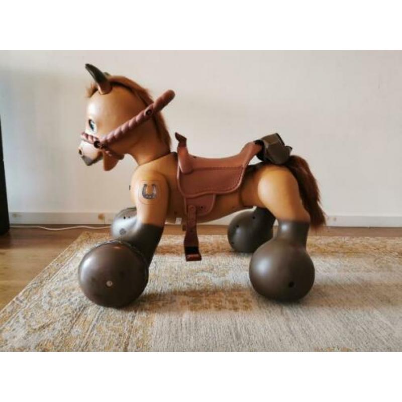 Rideamals kid Trax pony