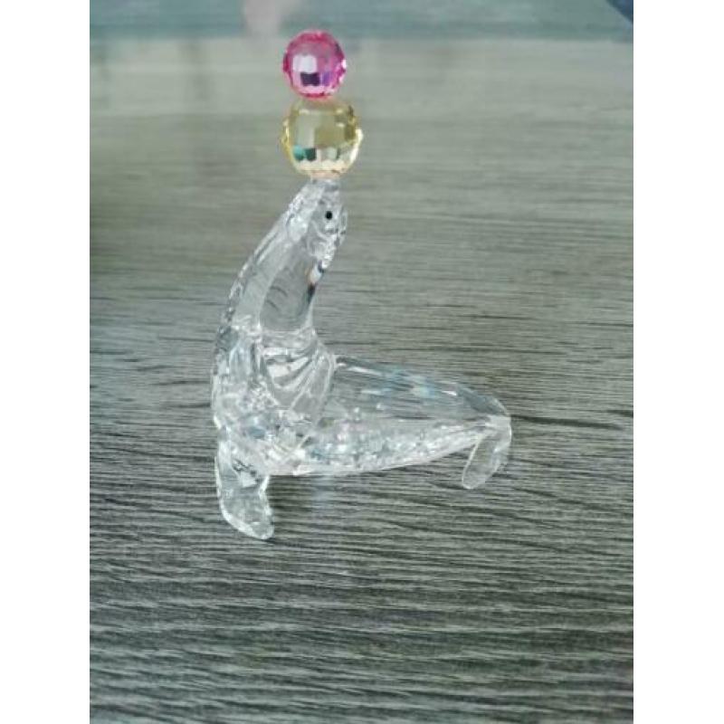 Swarovski spelende zeehond