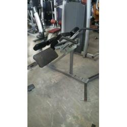 Hammerstrength life fitness panatta matrix back extension