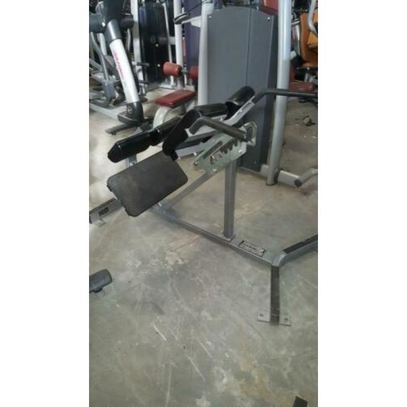 Hammerstrength life fitness panatta matrix back extension