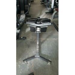 Hammerstrength life fitness panatta matrix back extension
