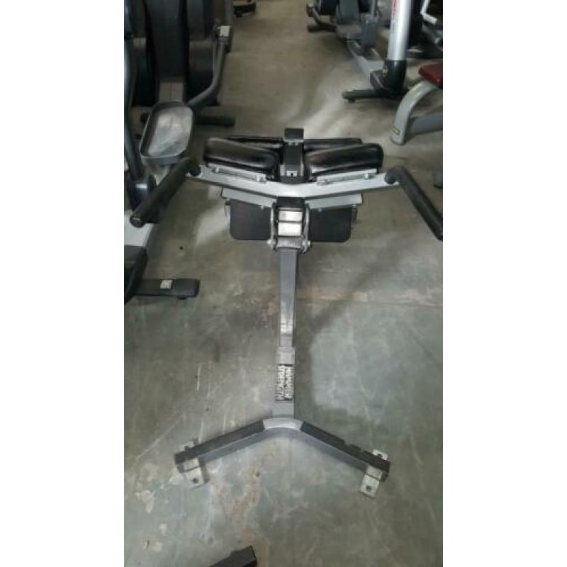 Hammerstrength life fitness panatta matrix back extension