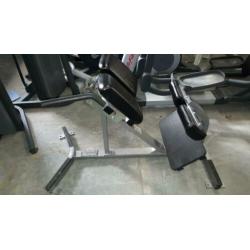 Hammerstrength life fitness panatta matrix back extension