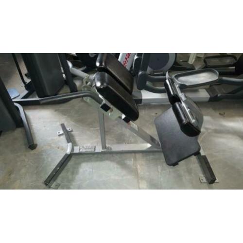 Hammerstrength life fitness panatta matrix back extension