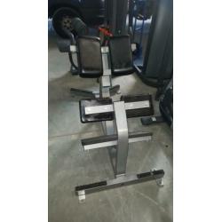 Hammerstrength life fitness panatta matrix back extension