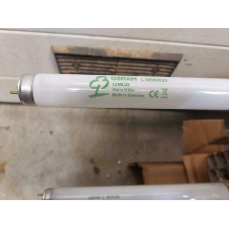 Ca 120 TL lampen 150cm