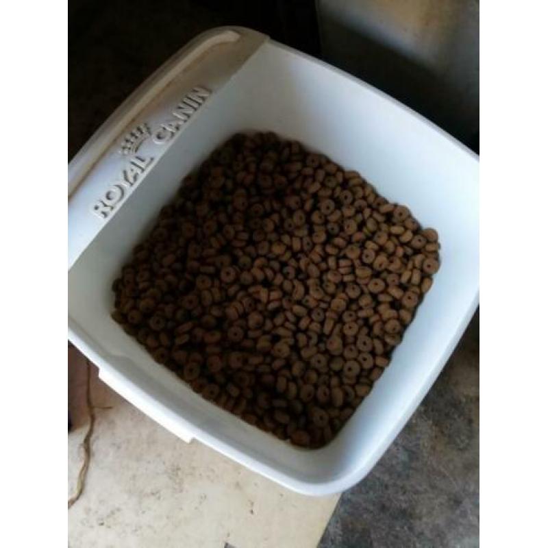 Ong. 12 KG Senioren voer - Herders - Royal Canin over!