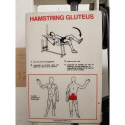 Technogym Hamstring gluteus