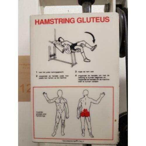 Technogym Hamstring gluteus